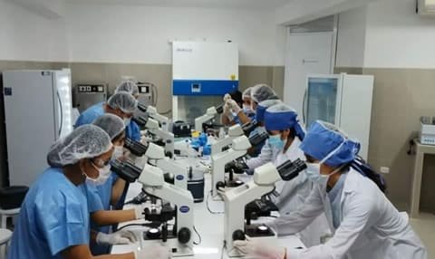 Programa Laboratorio Clínico y Anatomía Patológica